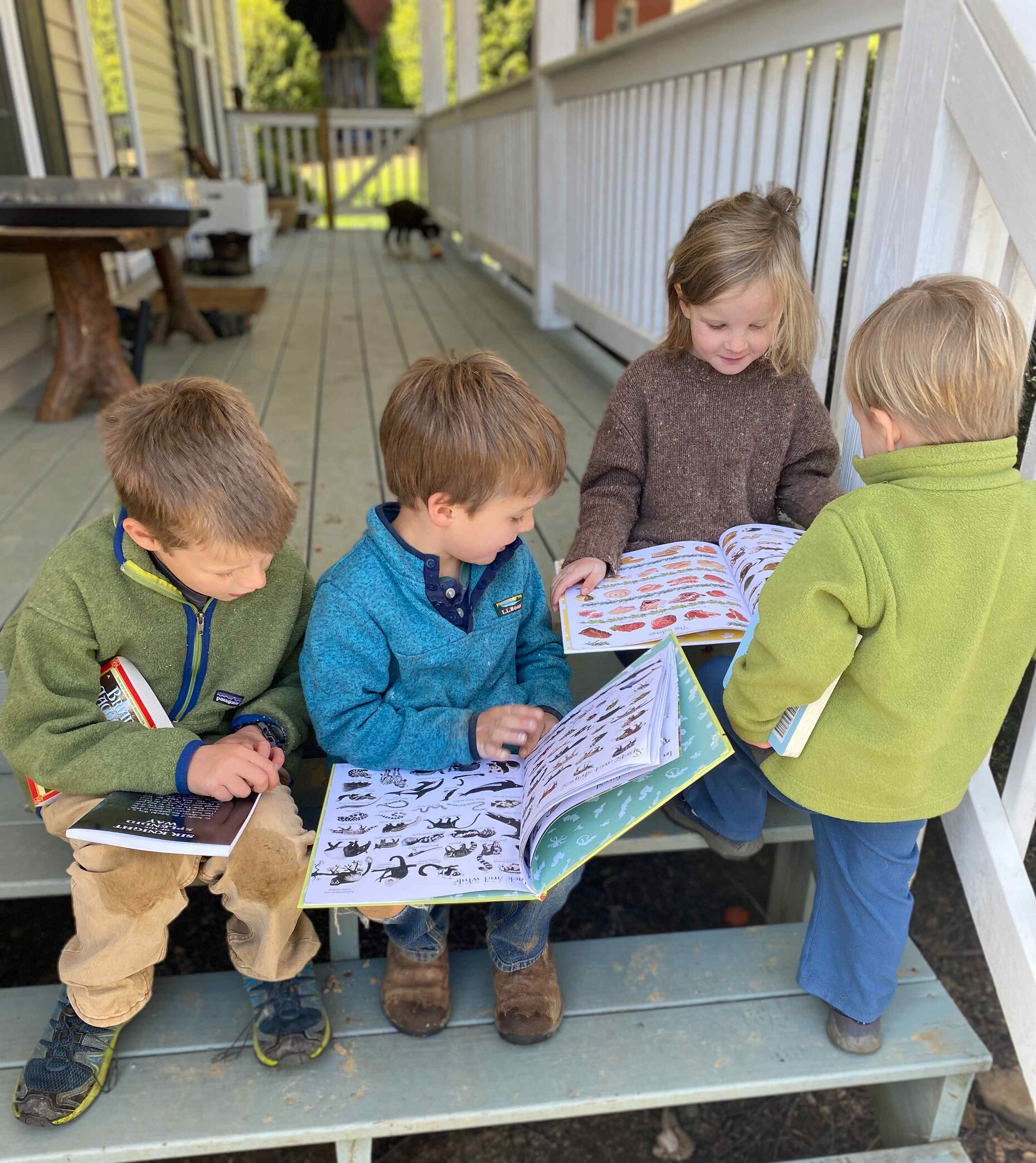 An adobe firefly generated image of children learning under a chestnut tree